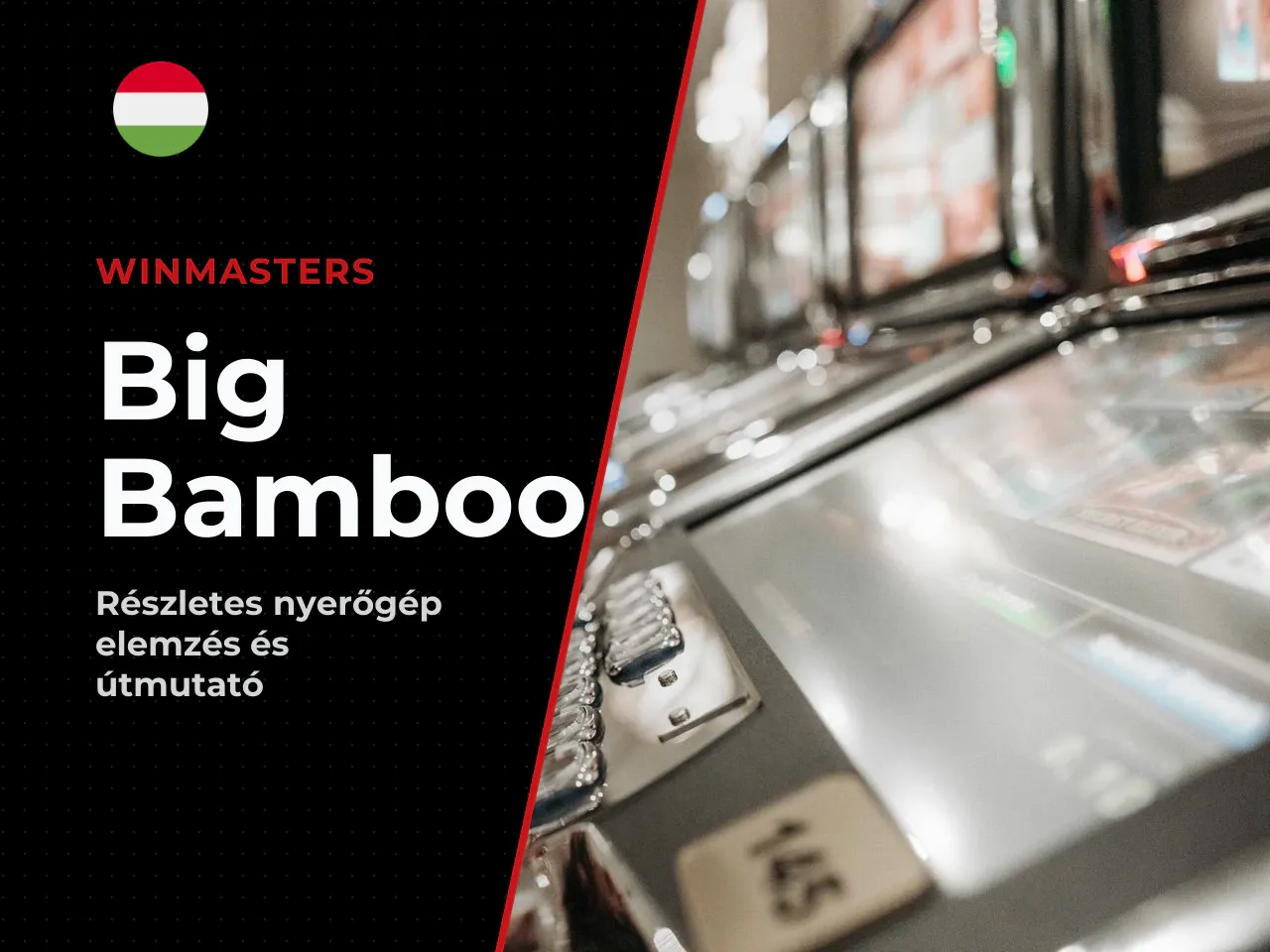 Összegzésképpen a Big Bamboo profilja, vagyis