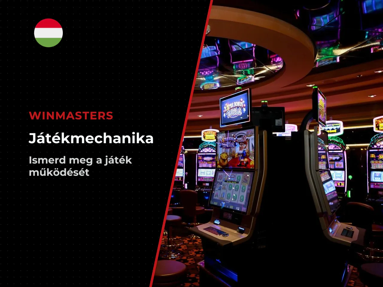 A csirke, az akadályok és a