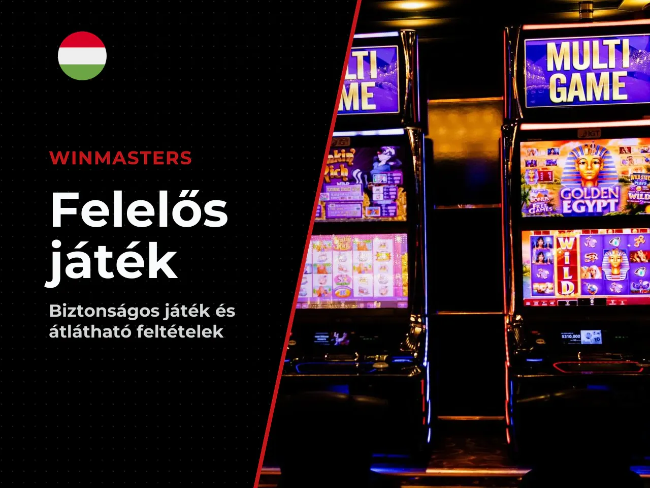 Felelős játék és a Dead or