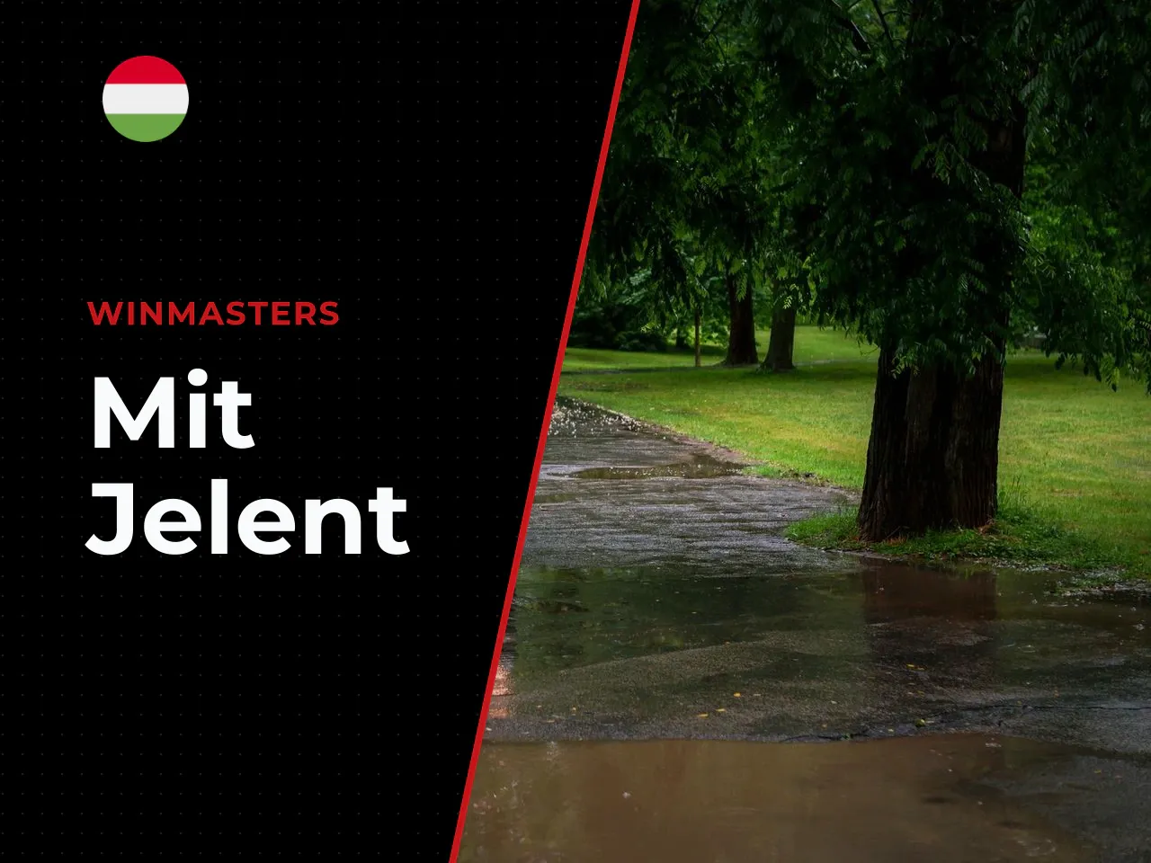 Mit jelent az RTP, a volatilitás