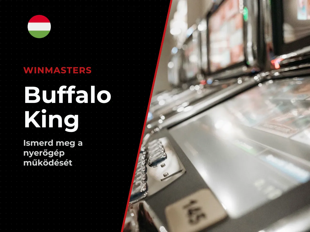 Hogyan kell játszani a Buffalo King