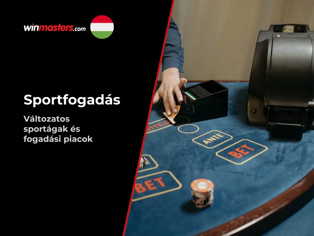 Sports markets, bet builders és sportágak